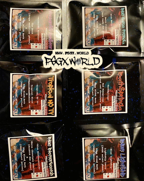Momurder25 Collector Box - Image 2